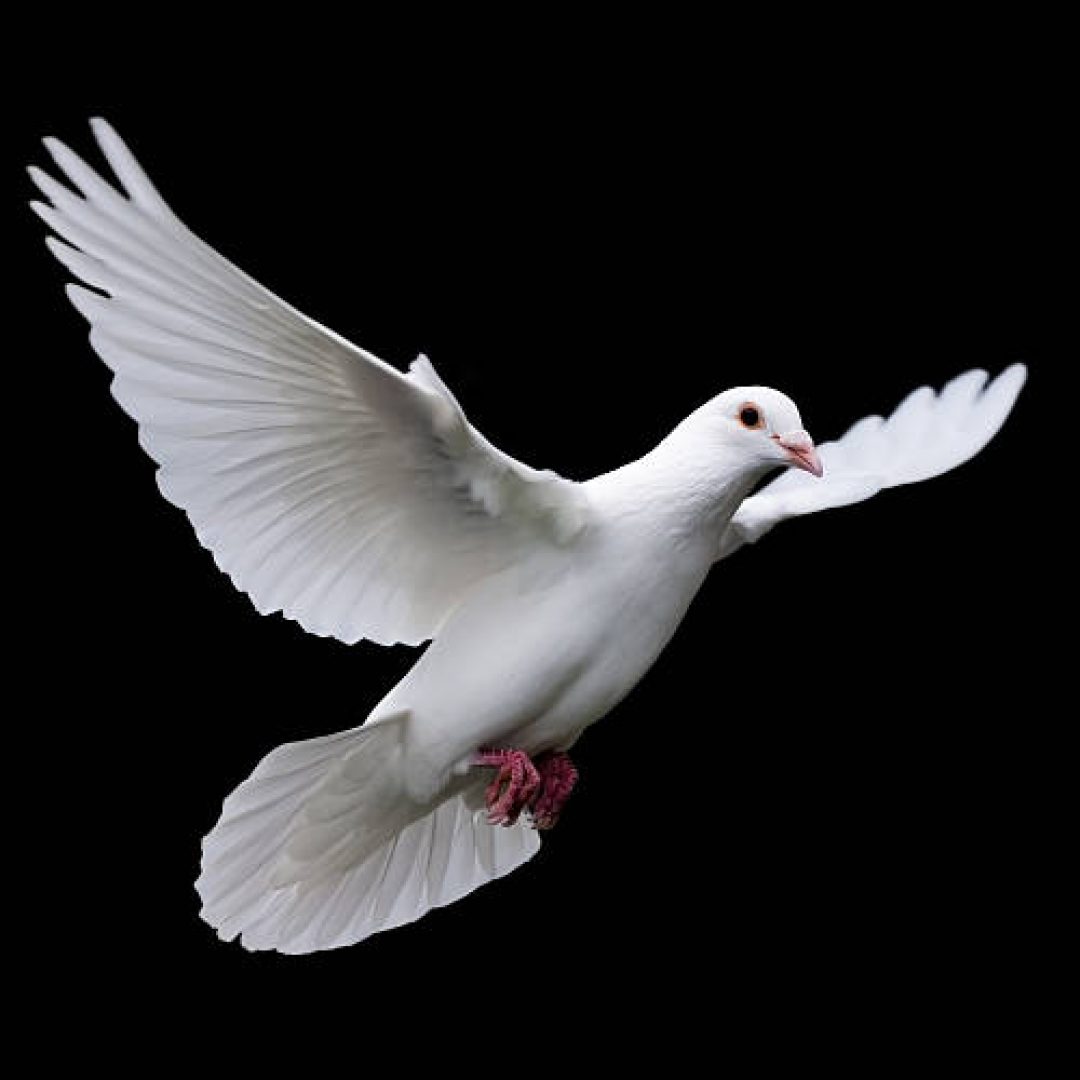 istockphoto-90937170-612x612